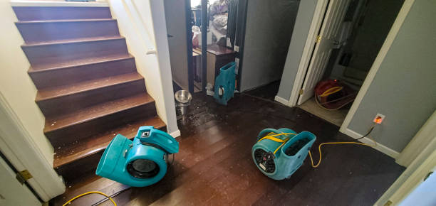 Best Water damage mitigation services  in Lealman, FL