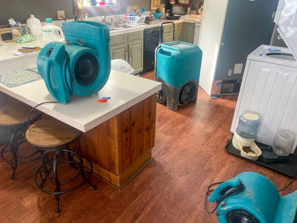 Best Emergency water damage restoration  in Lealman, FL