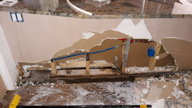 Best Water damage restoration insurance claims  in Lealman, FL