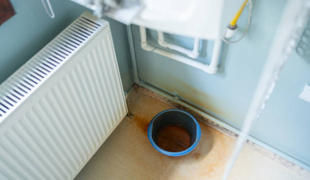 Best 24-hour water damage restoration  in Lealman, FL