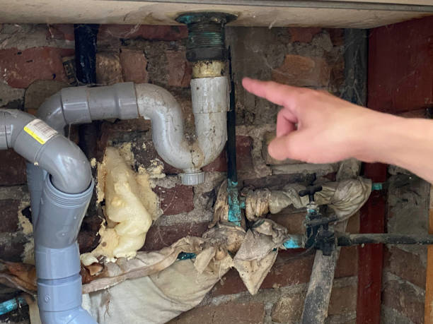 Best Water damage contractors near me  in Lealman, FL