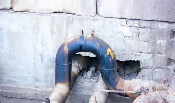 Best Flood restoration services  in Lealman, FL