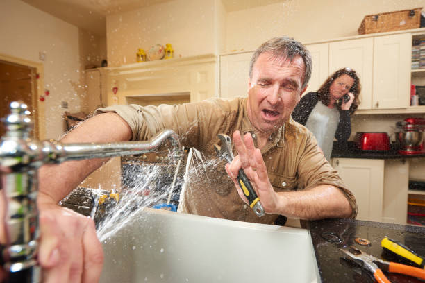 Best Residential water damage restoration  in Lealman, FL
